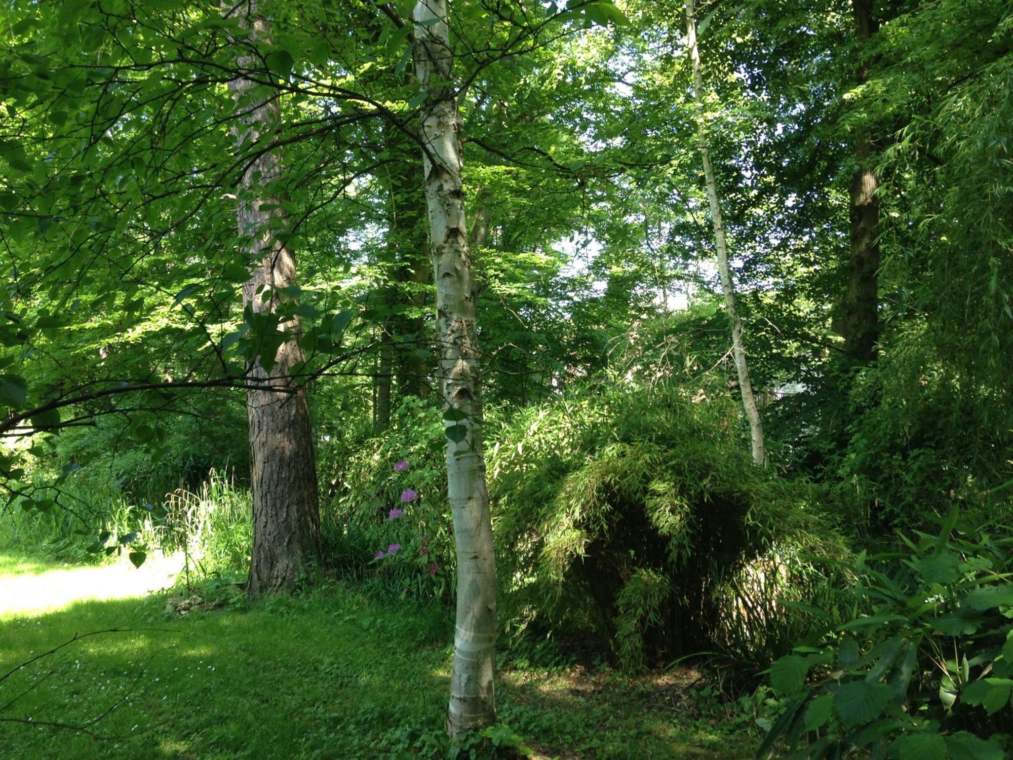 Domaine De Chantemerles Fontainebleau Bagian luar foto