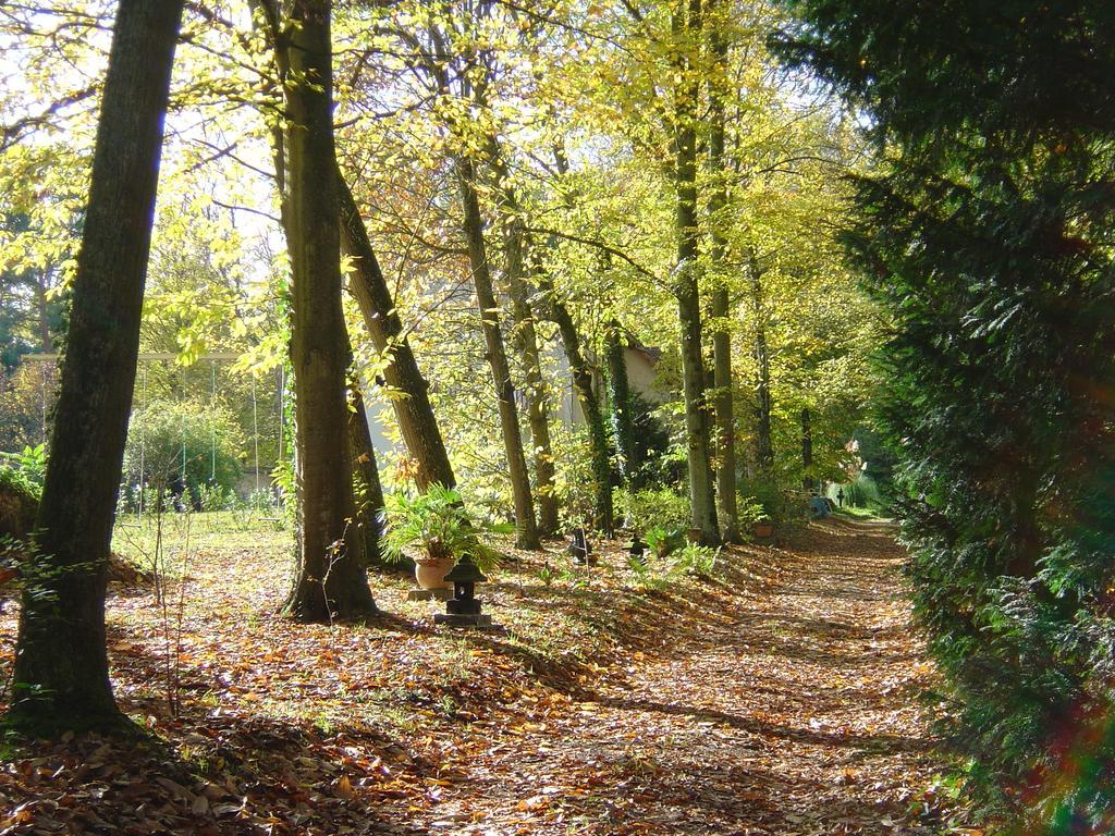 Domaine De Chantemerles Fontainebleau Bagian luar foto