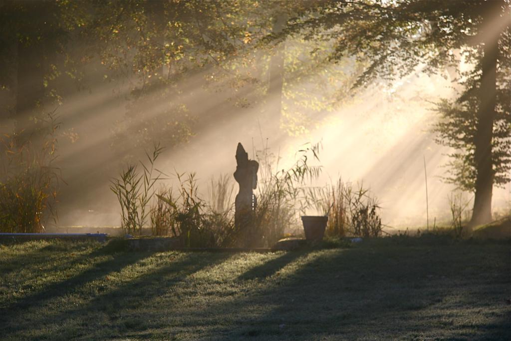 Domaine De Chantemerles Fontainebleau Bagian luar foto