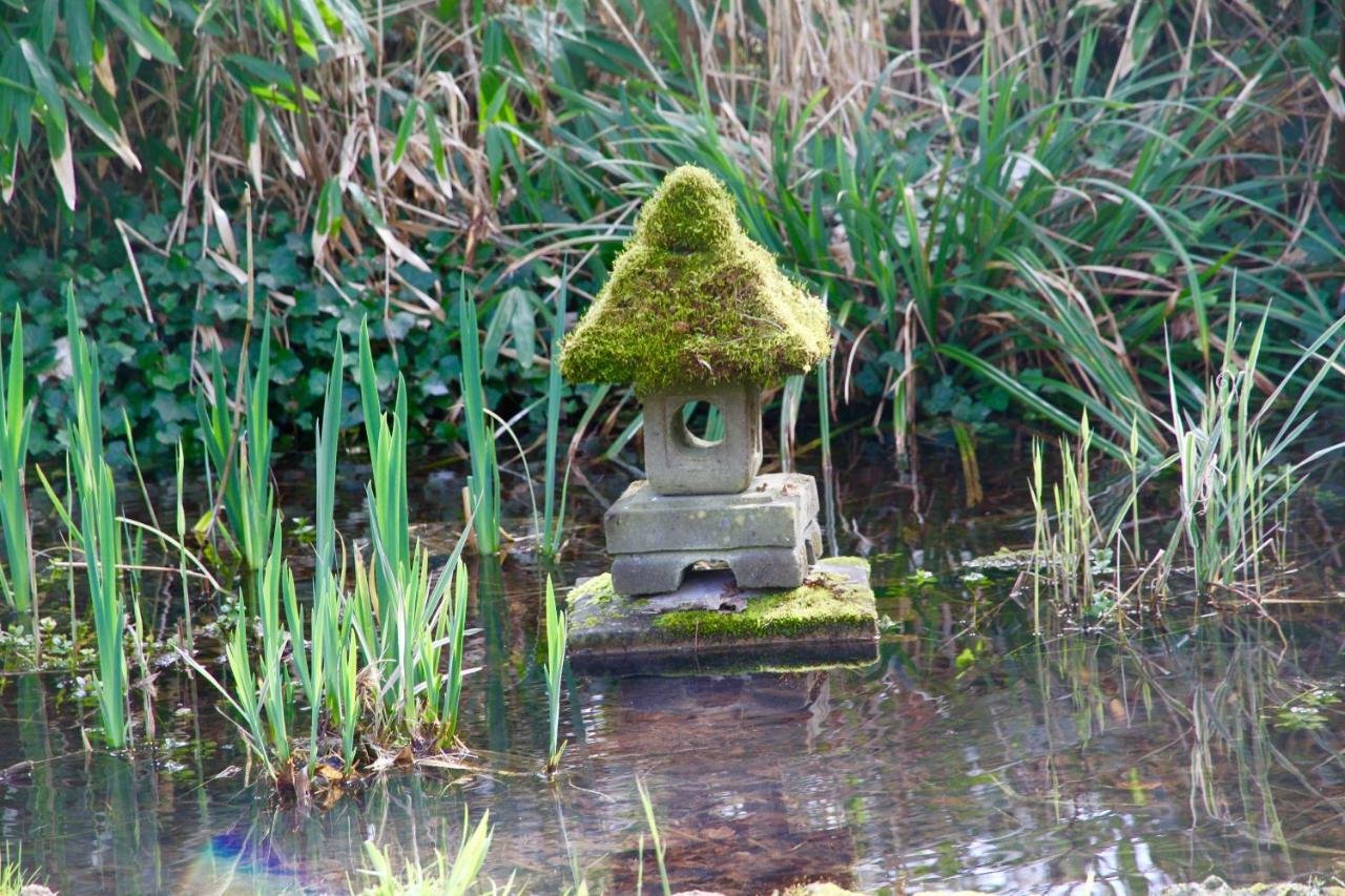 Domaine De Chantemerles Fontainebleau Bagian luar foto