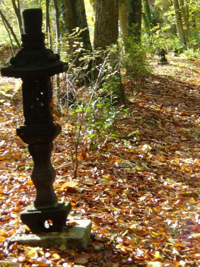 Domaine De Chantemerles Fontainebleau Bagian luar foto