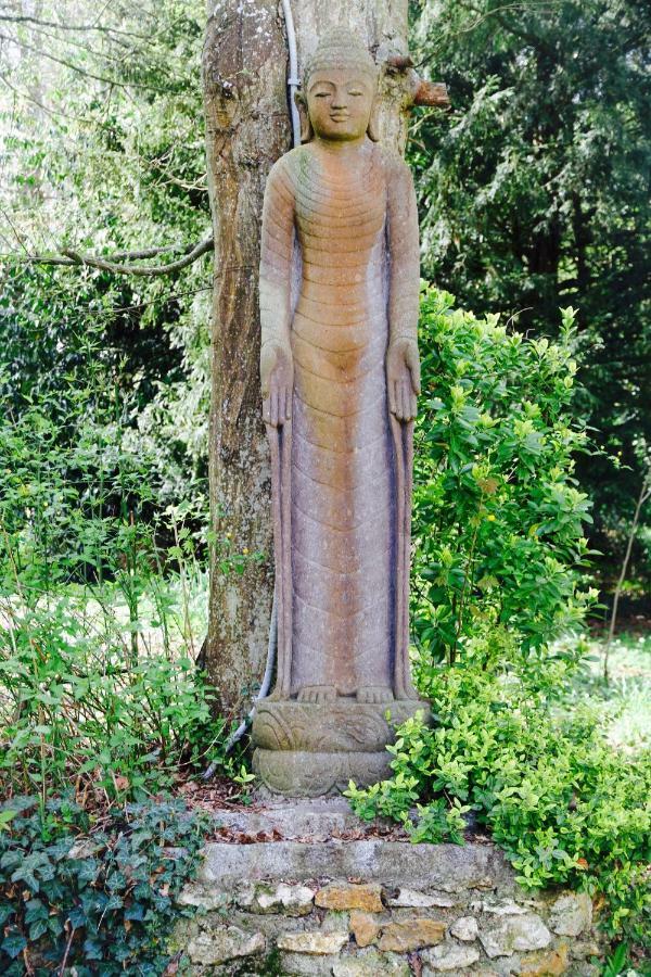 Domaine De Chantemerles Fontainebleau Bagian luar foto